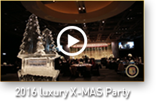 2016 luxury X-MAS Party